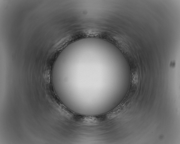 X0000090970666200708161837