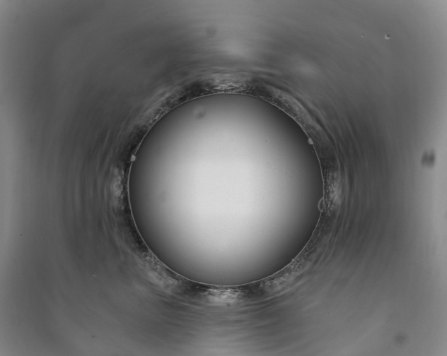 X0000090970667200708161837