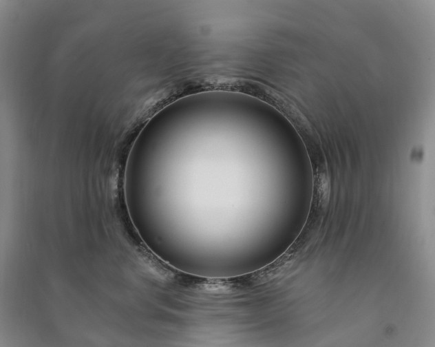 X0000090970668200708161837