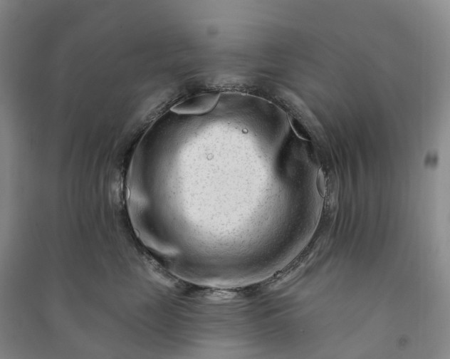 X0000090970669200708161837