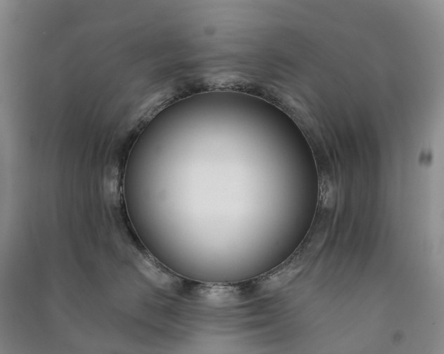 X0000090970670200708161837