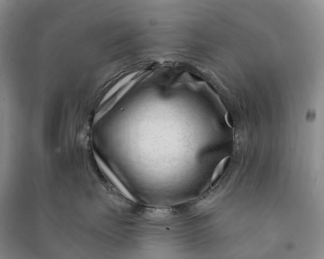 X0000090970671200708161837