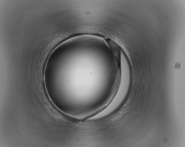 X0000090970673200708161836