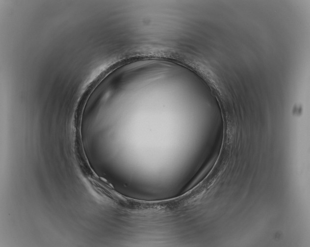 X0000090970674200708161836