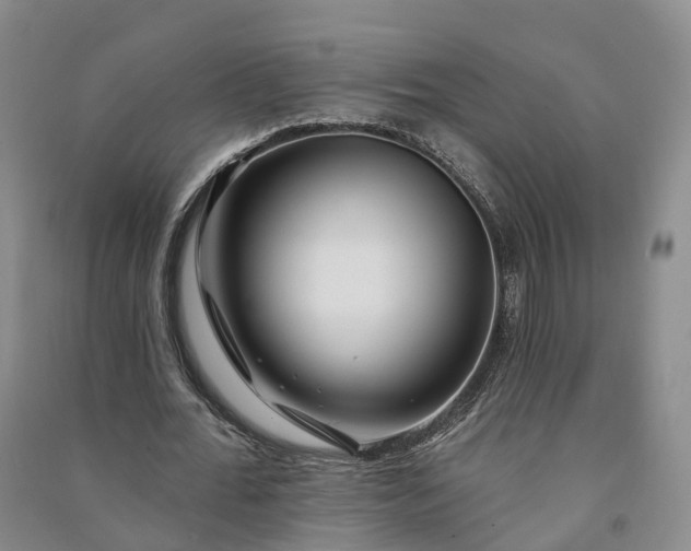 X0000090970676200708161836