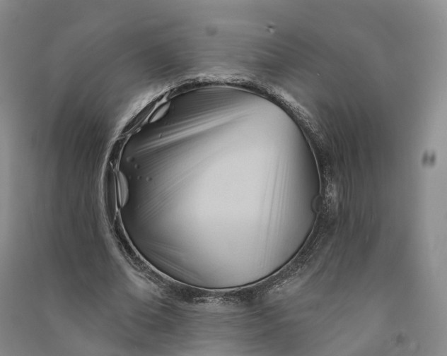 X0000090970678200708161836