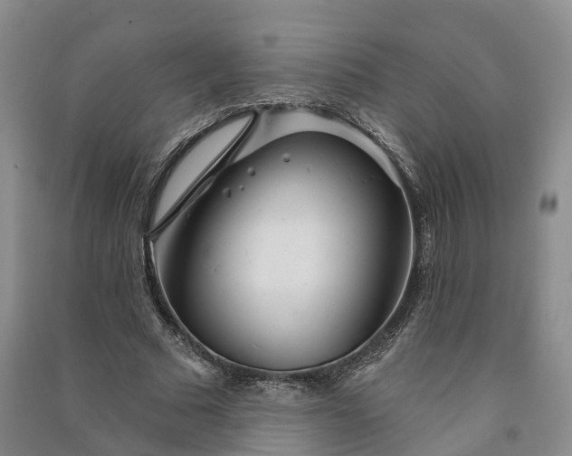 X0000090970681200708161836