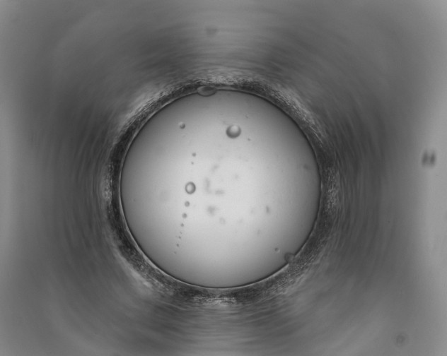 X0000090970683200708161836