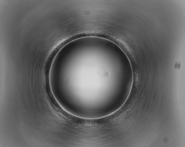 X0000090970684200708161836