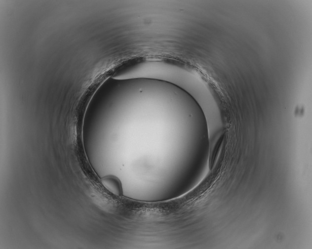 X0000090970685200708161836