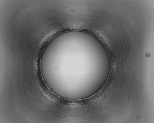 X0000090970686200708161836