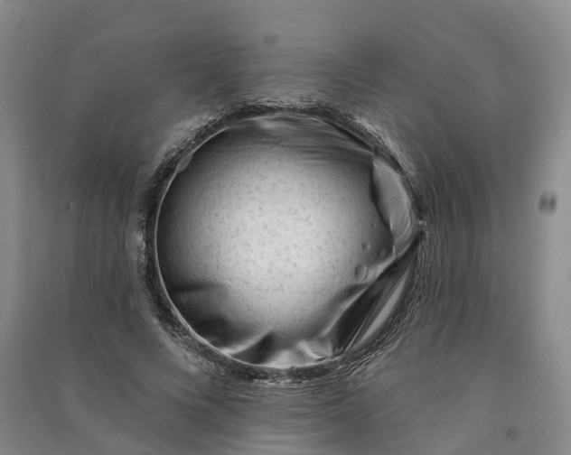 X0000090970688200708161836