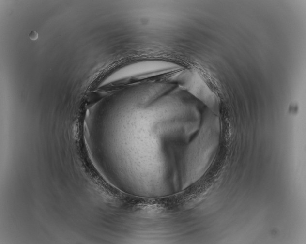 X0000090970689200708161836