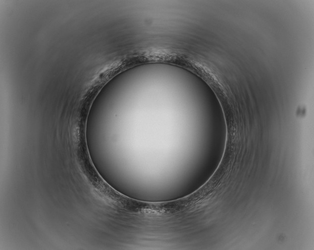 X0000090970690200708161836