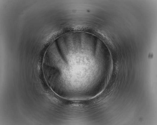 X0000090970691200708161836