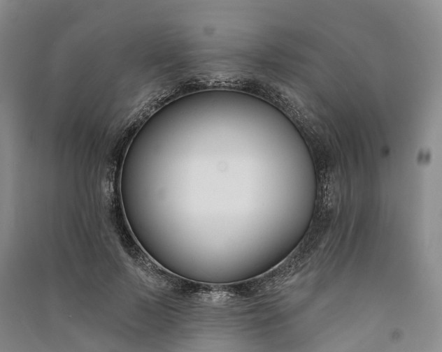 X0000090970695200708161836