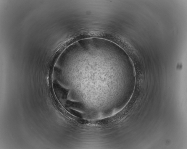 X0000090970696200708161836