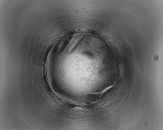 X0000090970699200708161836