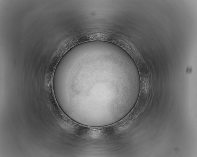 X0000090970701200708161836