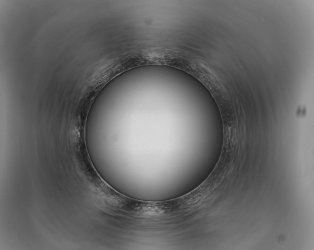 X0000090970702200708161836