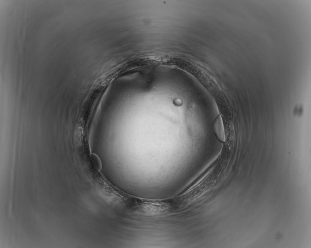 X0000090970707200708161836