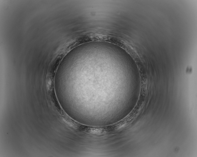 X0000090970709200708161836