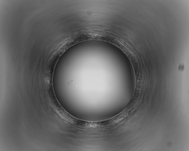 X0000090970710200708161836