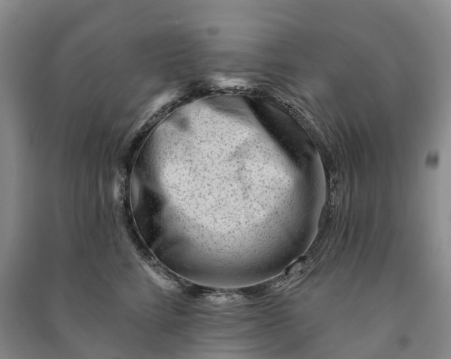 X0000090970712200708161836