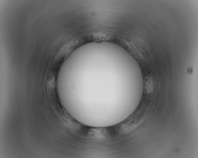 X0000090970713200708161836