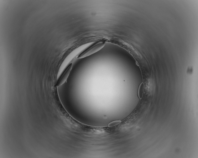 X0000090970715200708161836