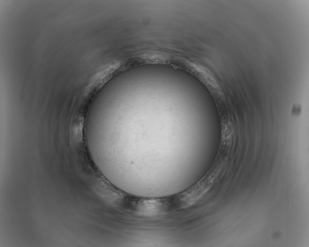 X0000090970717200708161836