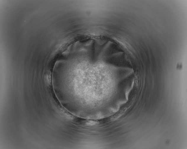 X0000090970718200708161836