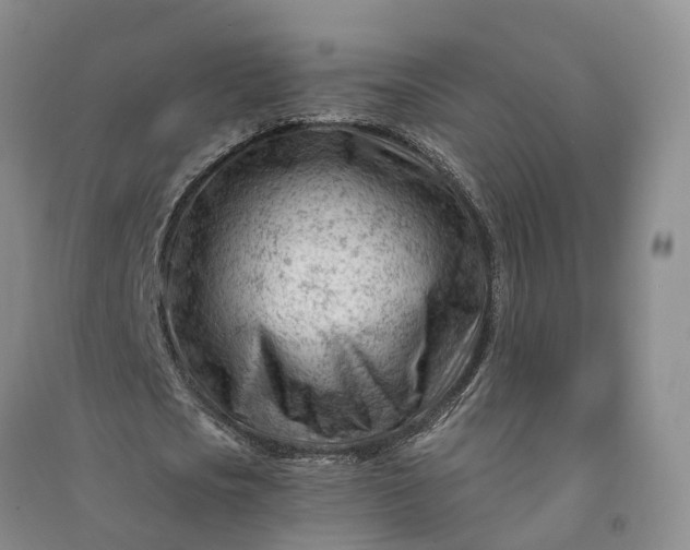 X0000090970721200708161835