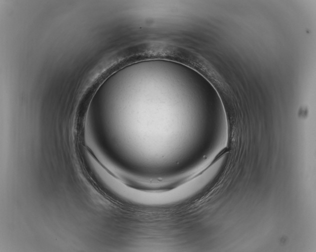 X0000090970722200708161835