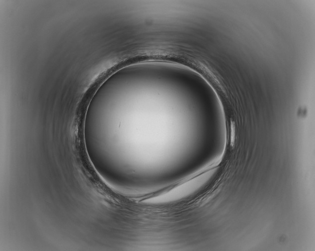 X0000090970723200708161835