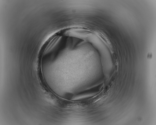 X0000090970724200708161835