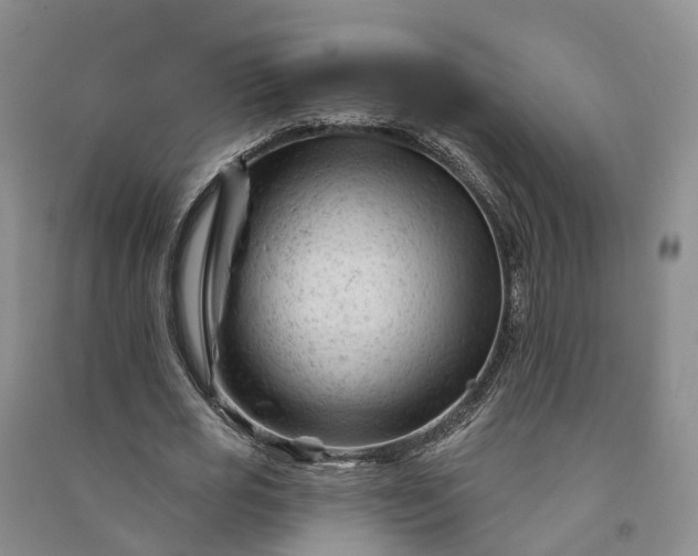 X0000090970725200708161835