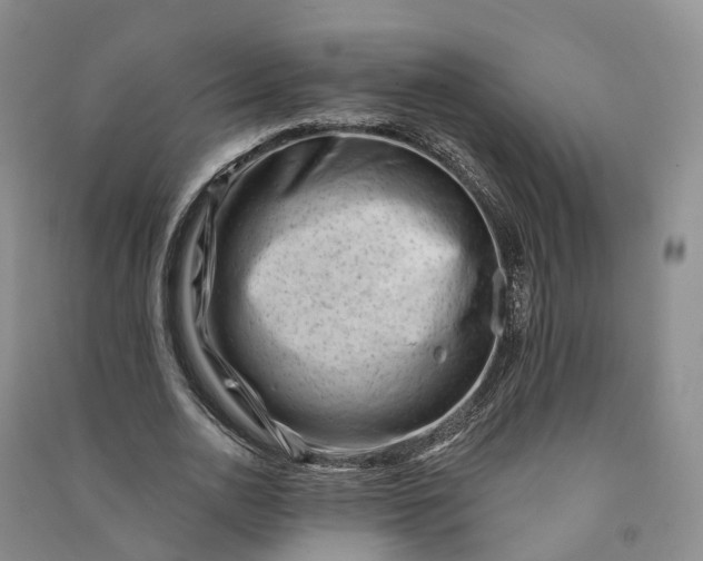 X0000090970726200708161835