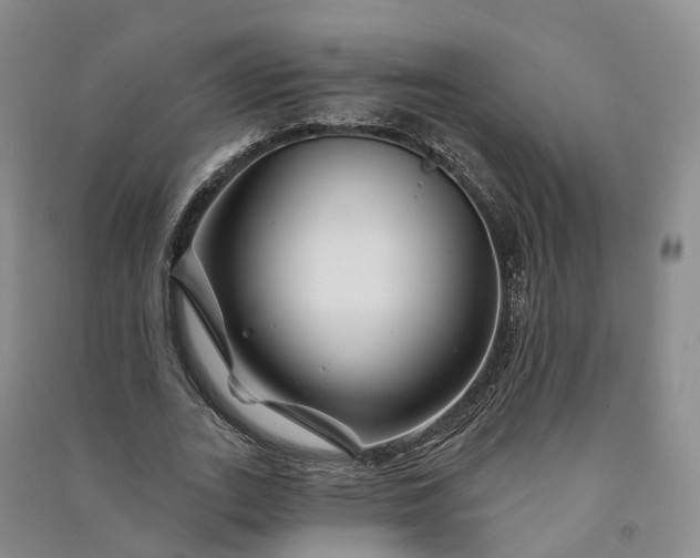 X0000090970727200708161835