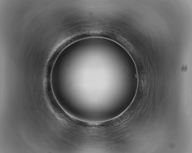 X0000090970728200708161835