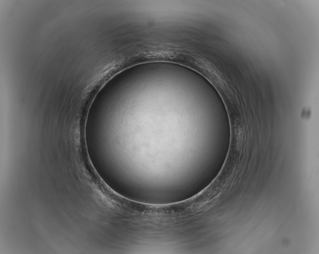 X0000090970729200708161835