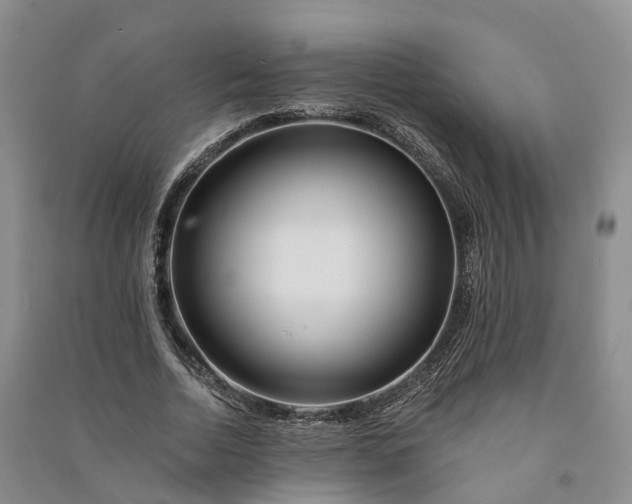 X0000090970730200708161835