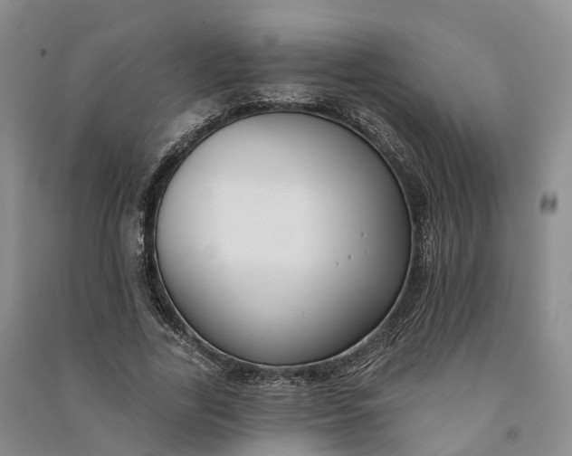 X0000090970731200708161835