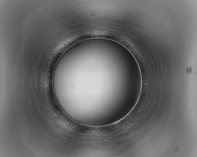 X0000090970732200708161835