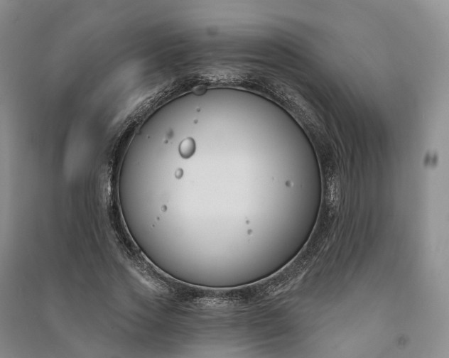 X0000090970733200708161835