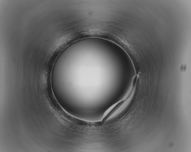 X0000090970735200708161835