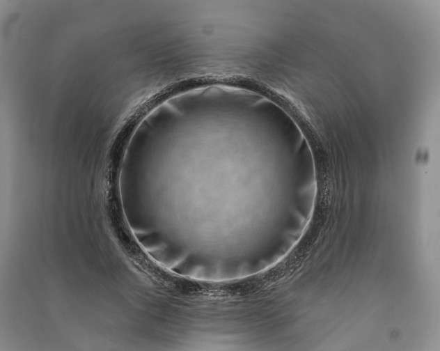 X0000090970736200708161835