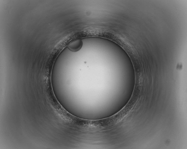 X0000090970737200708161835