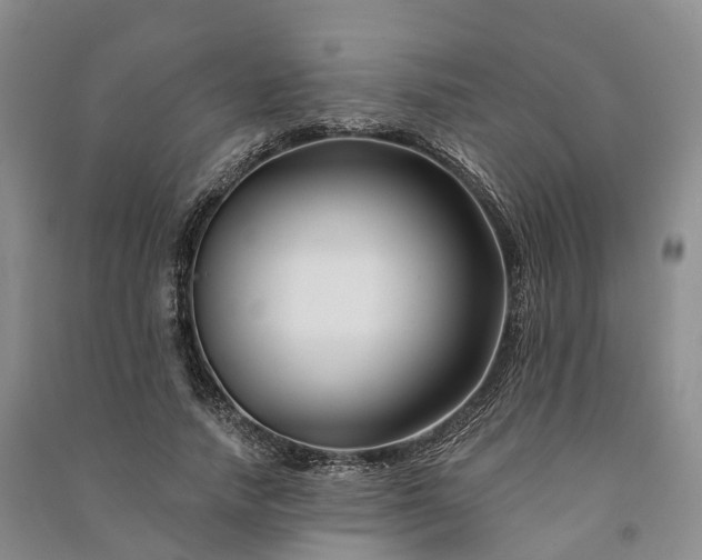 X0000090970738200708161835