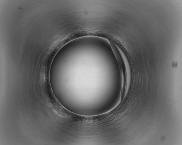 X0000090970740200708161835